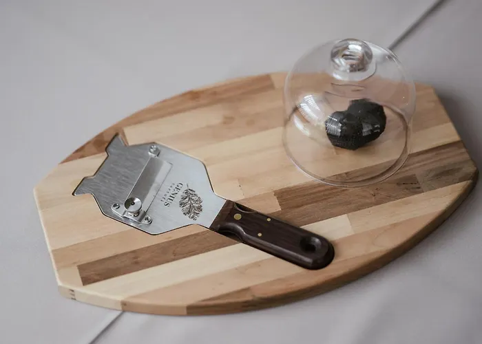 希思琵姿酒店 4* 伊施格尔